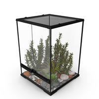 Tall Terrarium for Reptiles with Iguana PNG & PSD Images