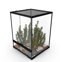 Tall Terrarium for Reptiles with Wild Plants PNG & PSD Images