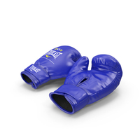 Everlast Boxing Gloves PNG & PSD Images