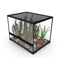 Medium Size Plants Terrarium PNG & PSD Images