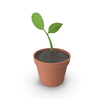 Green Plant In Vase PNG & PSD Images