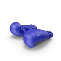 Professional Leather Boxing Gloves PNG & PSD Images