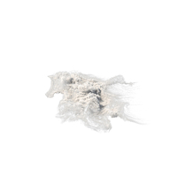 Cloud PNG & PSD Images