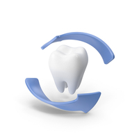 Tooth With Arrows PNG & PSD Images