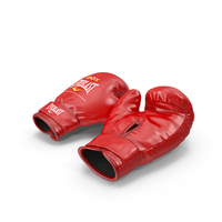Training Boxing Gloves Everlast PNG & PSD Images