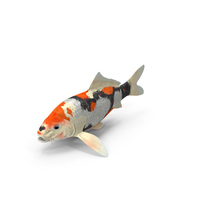 Harivake Koi Fish PNG & PSD Images