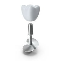BCS Series Dental Implants 4 cm PNG & PSD Images