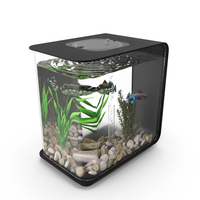 Designer Rectangle Aquarium Black With Fish PNG & PSD Images