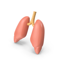 Lungs PNG & PSD Images