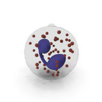 Eosinophil Blood Cell PNG & PSD Images