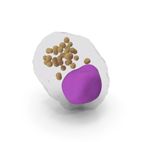 Macrophage Blood Cell PNG & PSD Images