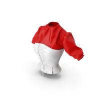 Blouse With Corset PNG & PSD Images