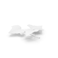 Ivy Leaf PNG & PSD Images