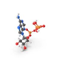 ATP (Adenosine Triphosphate) Molecule PNG & PSD Images