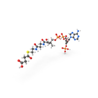 Succinyl Coa Molecule PNG & PSD Images