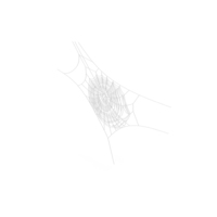Spiderweb PNG & PSD Images