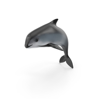 Phocoena Sinus Idle Pose PNG & PSD Images