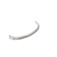 Bear Ursus Rib T10 PNG & PSD Images