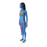 Neytiri Avatar Stand Pose PNG & PSD Images