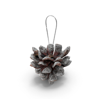 Frosted Pine Cone PNG Images & PSDs for Download
