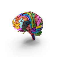 Brain Schematic Zone PNG & PSD Images