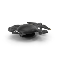 Black Eagle Cockade PNG & PSD Images