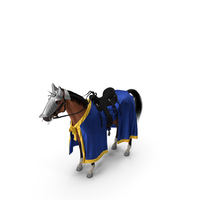 Knight Horse Blanket Fur PNG & PSD Images