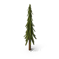 Spruce Wooden Toy PNG & PSD Images