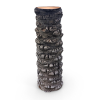 Palm Log PNG & PSD Images