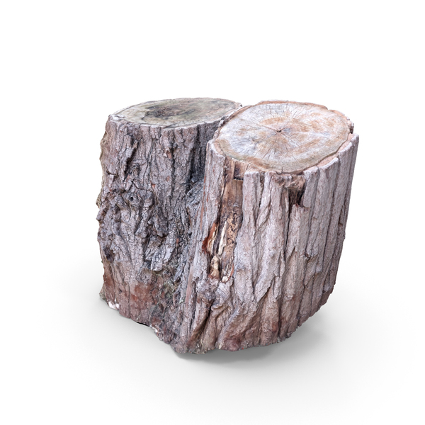 Tree Stump PNG & PSD Images