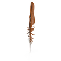 Feather Bird Brown Colored PNG & PSD Images