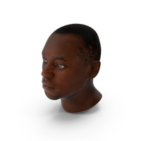 Handsome African American Male Head PNG & PSD Images