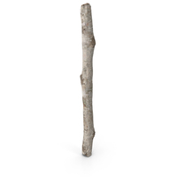 Short White Birch Pole PNG & PSD Images