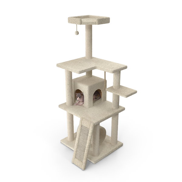 Cat Tree 5 Level PNG Images PSDs for Download PixelSquid