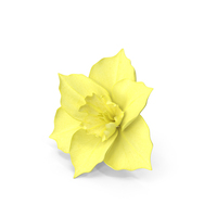 Narcissus Yellow PNG & PSD Images