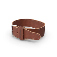 Rogue Brown Lifting Weight Belt PNG & PSD Images