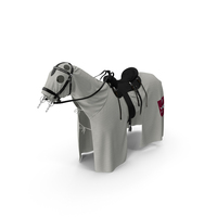 Crusader Horse Armor PNG & PSD Images