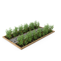 Vegetable Garden PNG & PSD Images
