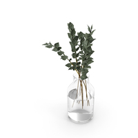 Leaves In Glass Vase PNG & PSD Images