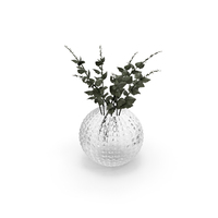 Tree Branches In Glass Vase PNG & PSD Images