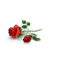 Rose Red On Floor PNG & PSD Images