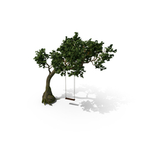 Tree Swing PNG & PSD Images