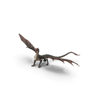 Walking Western Dragon PNG & PSD Images