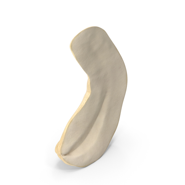 Cashew PNG & PSD Images