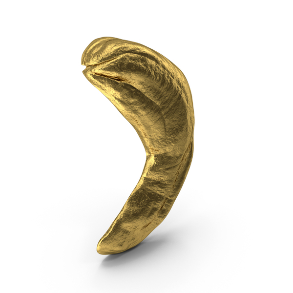 Cashew Gold PNG & PSD Images