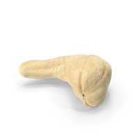 Cashew PNG & PSD Images