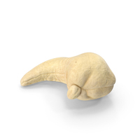 Cashew PNG & PSD Images