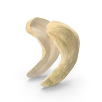 Cashew PNG & PSD Images