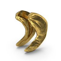 Cashew Gold PNG & PSD Images