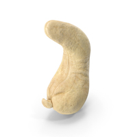 Cashew PNG & PSD Images